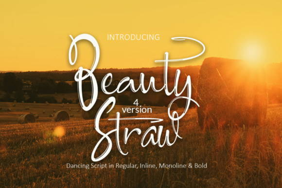[Creativefabrica] Beauty Straw Font_0.jpg